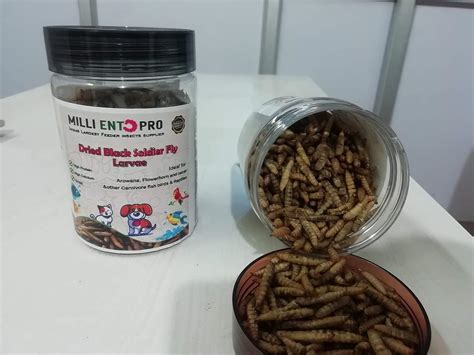 Milli Black Soldier Fly Larvae - 100% Natural, High Protein Young Adult ...