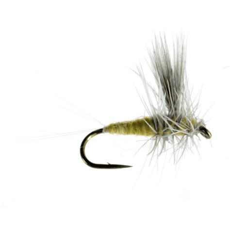 Image result for PMD Fly Pattern