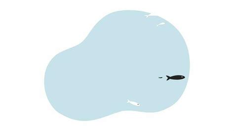 Image result for Stop Motion Fish