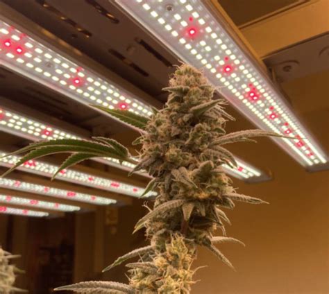 Image result for How Does LED Light Work