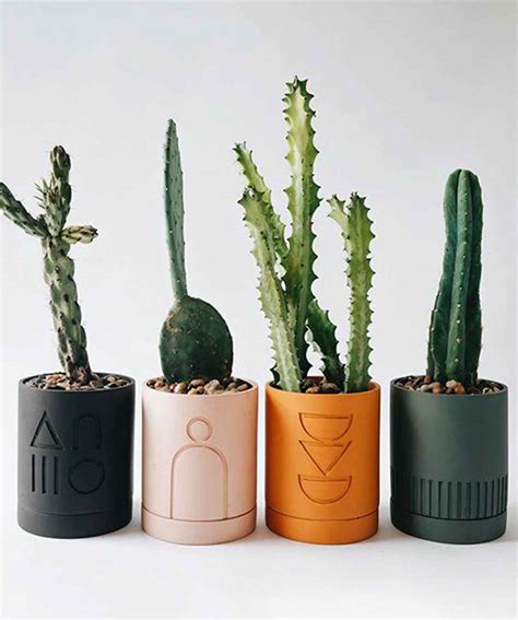 GARDEN – Purezento