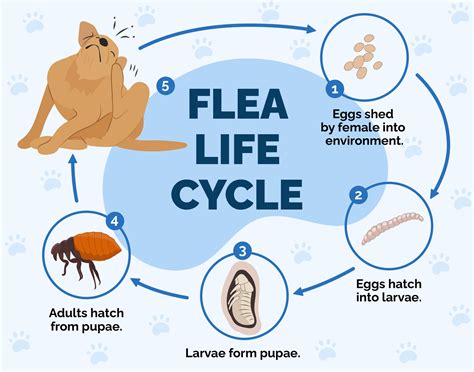 Does Garlic Kill Fleas? Vet Approved Tips On Safety & Effectiveness | Hepper Pet Resources