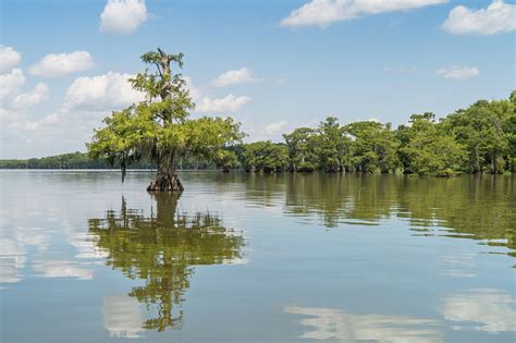 Lake Fausse Pointe State Park | The Heart of Louisiana