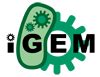 Image result for Computer Memory Speed