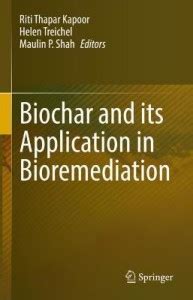 Biochar and its Application in Bioremediation: Buy Biochar and its ...