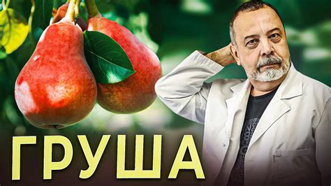 КОРОЛЕВА ФРУКТОВ - ГРУША Чем полезна груша. Состав и лечебный эффект ...