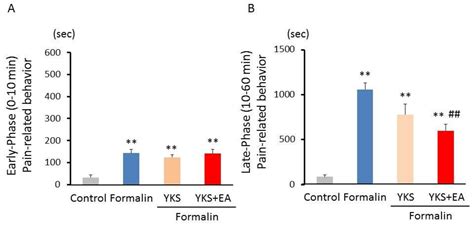 Analgesic Effect of Combined Therapy with the Japanese Herbal Medicine ...