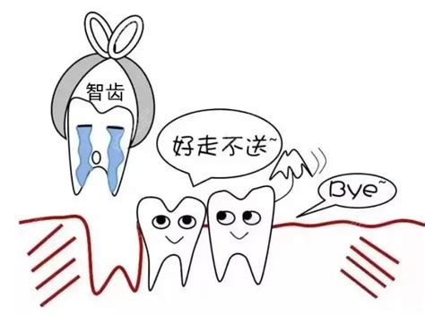 人有多少颗牙齿算正常？ - 知乎