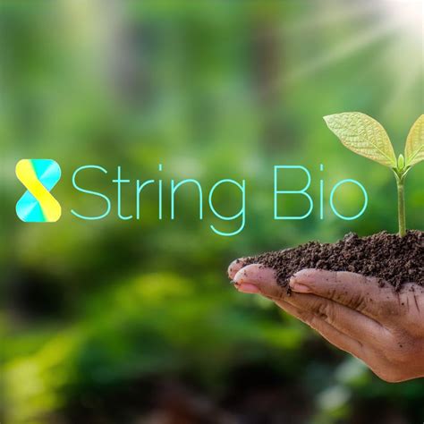 Biotech startup String Bio raises $20mn in funding | Business Outreach