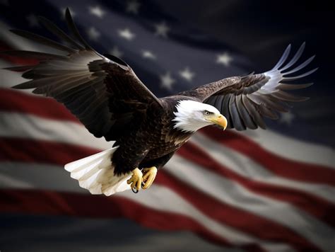 Bald eagle flying in front of an american flag generative ai | Premium ...