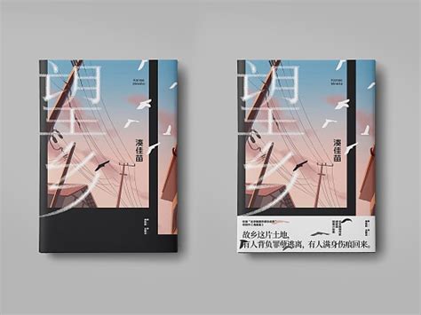 Aoi图书装帧设计11|平面|书装/画册|aoi___ - 原创作品 - 站酷 (ZCOOL) | โปสเตอร์กราฟิกดีไซน์