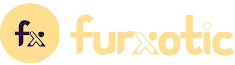 Furxotic – Craft Supplies Online in India | Pipe Cleaners, DIY, Resin