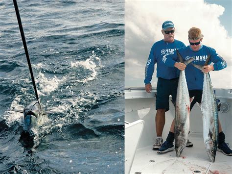 Expert Tips for Catching King Mackerel
