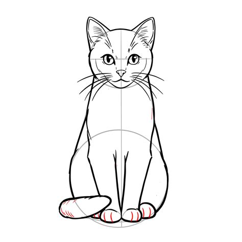 How to Draw Cats - 19 Easy Guides in One Tutorial - SketchOk