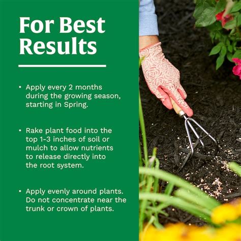 Scotts Flower and Vegetable 3-lb 10-10-10 Granules All-purpose Food ...