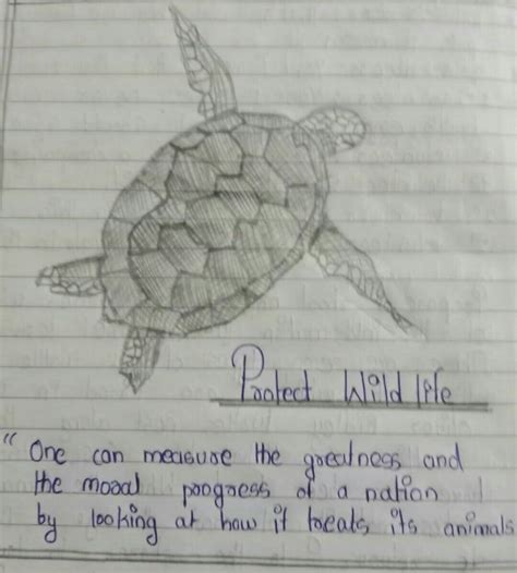 3. Prepare a poster to illustrate how the turtle eggs were/are ...