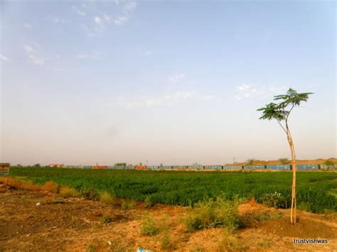 A Tale of Two Ninjas - Slow Roast in Rajasthan Retold - xBhp.com : The ...