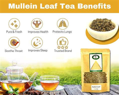 Buy 4D Herbs Mullein Leaf, Organic Mullein, Lung Support Herbal Tea, Expectorant, Herb for ...