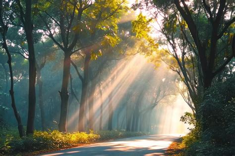 Image result for Sunlight Effect