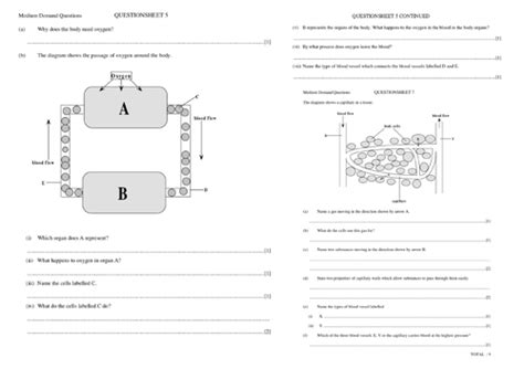 Circulation Class 12 的图像结果