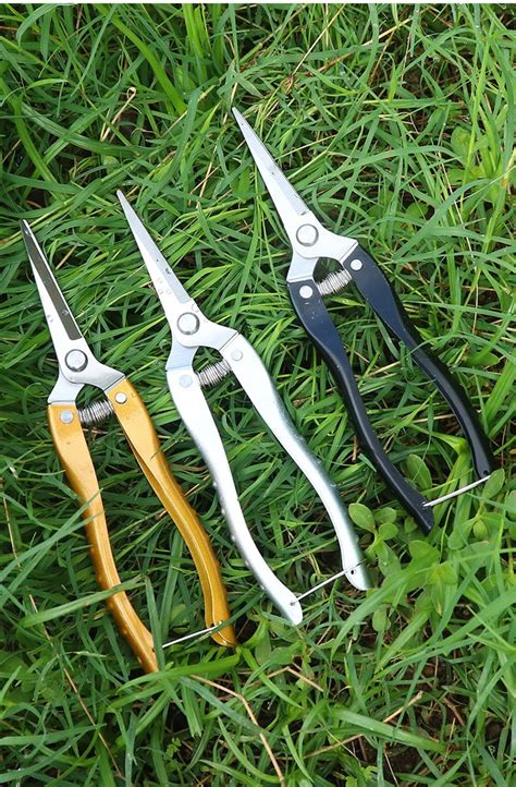 Stainless Steel Pruning Shears Fruit Tree Gardening 【即納&大特価】