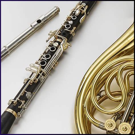Image result for Woodwind Band Instruments
