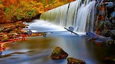 Wonderful Backgrounds by Wonderful D Hd Wallpapers 1920 215 1200 Wonderful Wallpaper Wonderful Backgrounds