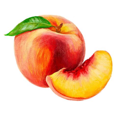 30 Best Peach Illustration Ideas You Should Check