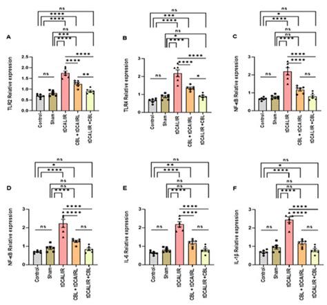 The Effect of Cerebrolysin in an Animal Model of Forebrain Ischemic ...