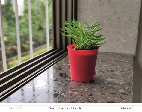 Krish 12 Self Watering Plastic Pot – Hug A Plant