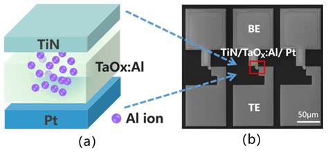 A TaOx-Based RRAM with Improved Uniformity and Excellent Analog ...