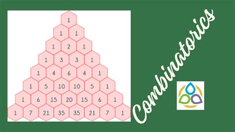 Image result for Geometric combinatorics Introduction