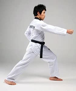 Vertical Punch | Taekwondo Wiki | Fandom