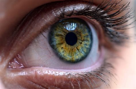 Yeux verts : La couleur la plus rare? - Iris