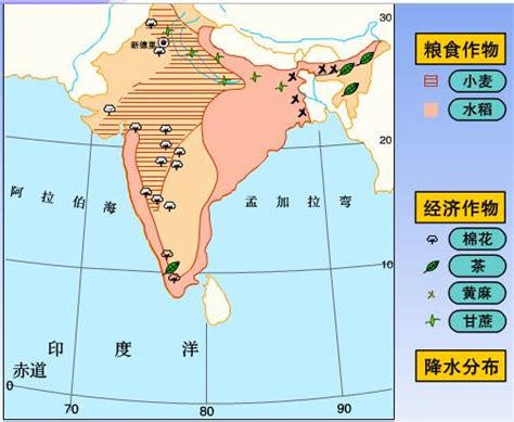 印度农业 的图像结果