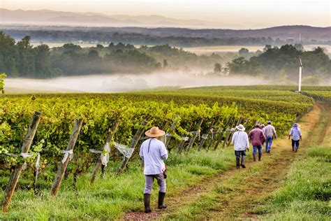 Palladio Restaurant - Barboursville Vineyards