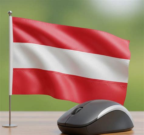 Image result for Country Code 29