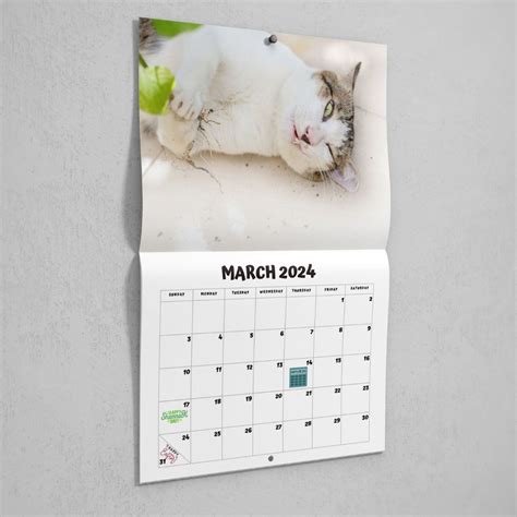 Cats High On Catnip 2024 Calendar - Shut Up And Take My Money
