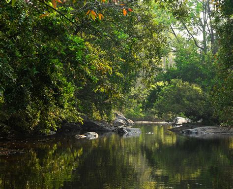 Ecotourism Adventure Tourism in Kerala | Trekking Packages & Ecotourism ...