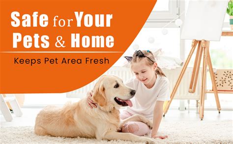 Buy Angry Poop Odor Remover, 100% Natural & Organic Formula, Pet Area ...