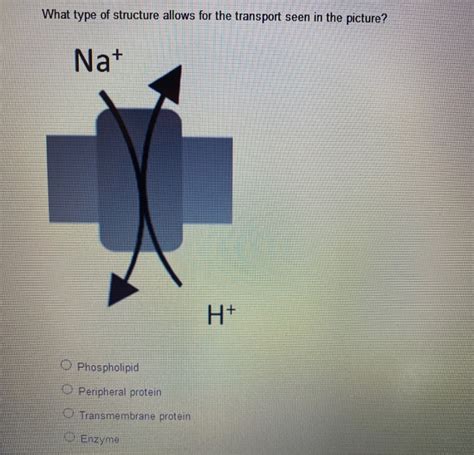 Image result for Concentration Gradient of Na