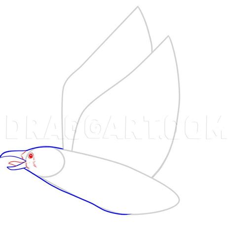 Image result for Crow Drawing Tutorial