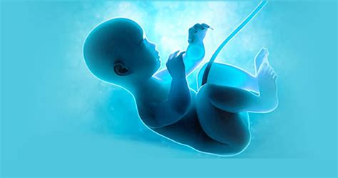 Sequential Transfer - Sequential Embryo Transfer in IVF | Bloom IVF