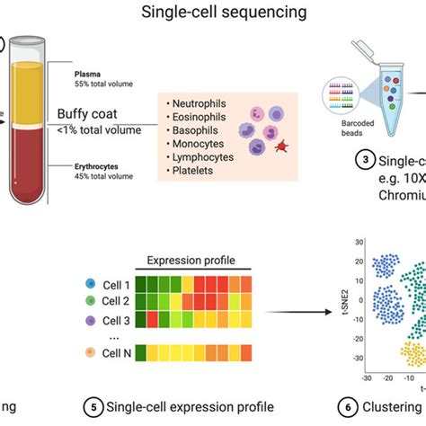 Image result for Transcriptomics technologies Single-cell Transcriptomics