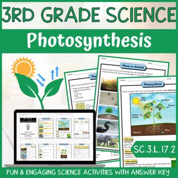 Photosynthesis Activity & Answer Key 3rd Grade Life Science | TPT