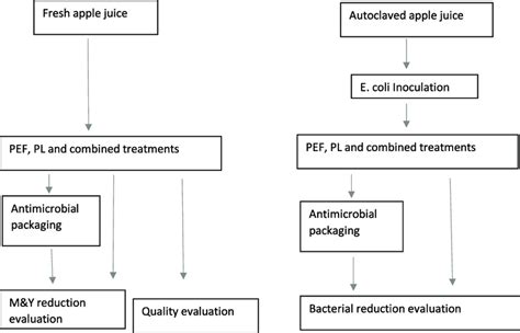 Image result for Scientific Flow Chart Example