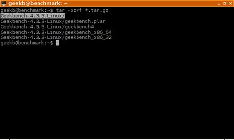 Linux Server Benchmark 的图像结果
