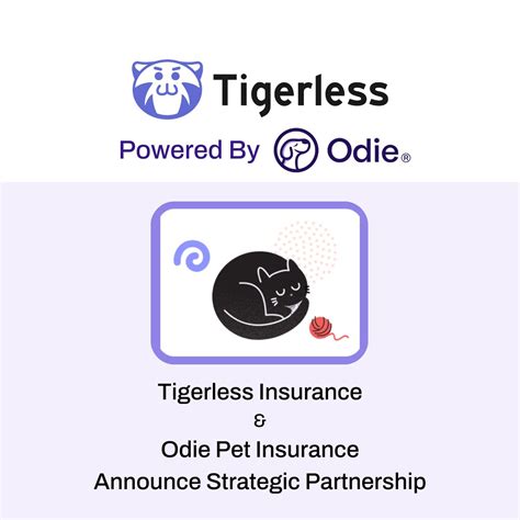 Odie Pet Insurance on LinkedIn: #petindustry #petinsurance #petproducts ...