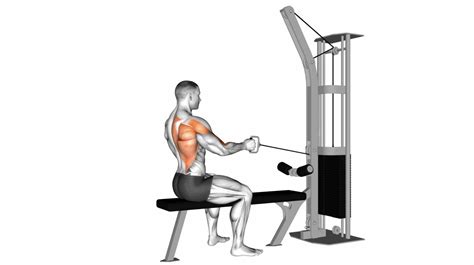 Image result for Back Workout Machine