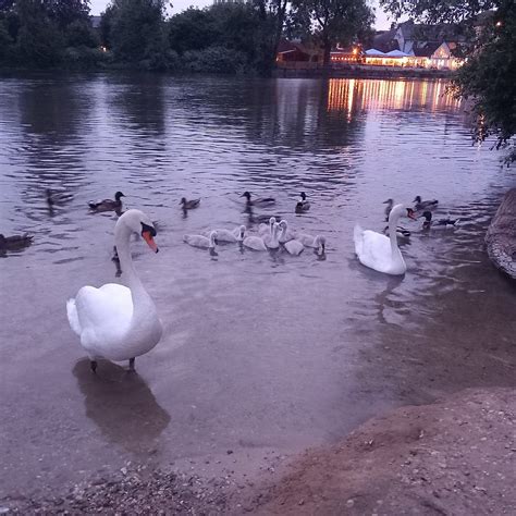 FORDINGBRIDGE PARK (2026) All You Need to Know BEFORE You Go (with ...